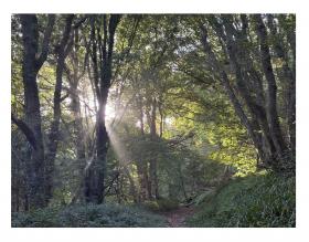 Old Money versus new?  17th century bitter disputes between The Barretts and  The Rashleighs.