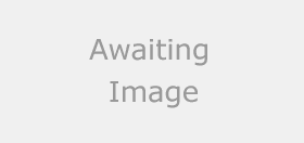 Awaiting Image